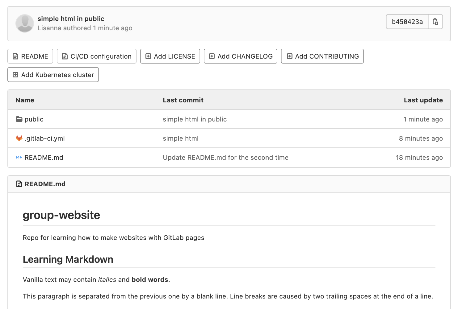 Schermata del progetto HTML semplice